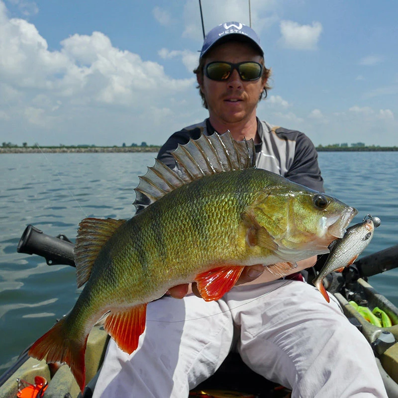 Westin Ricky The Roach Shadtail Lures